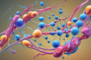 Glucokinase Enzyme Properties