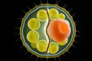 Cell Division and Reproduction