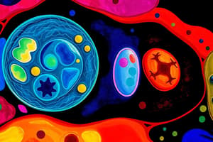 Introduction to Embryology