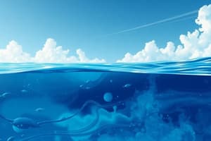 Understanding Sea Surface Temperature (SST)