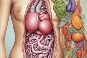 Upper Gastrointestinal Disorders Nutrition