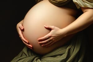 Maternity: Prenatal Period and Uterus Changes