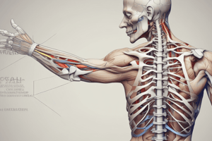 Nerve Injuries: causes and prevention