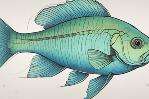 Lateral Line System in Fishes ch4 2