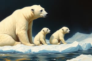 Polar Bear Life Cycle Quiz