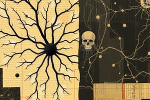 Neuroscience Quiz on Neurons and Neuroglia