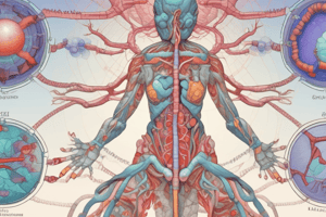 Lecture 7.1 - The adrenal glands and the renin, angiotensin and aldosterone system