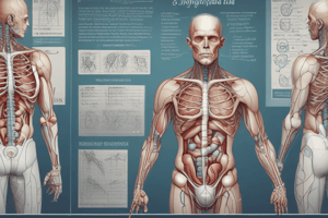 Medical Terminology Fundamentals