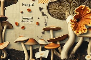 Fungi Classification and Nutrition Quiz