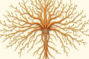 Nervous System Fundamentals Quiz