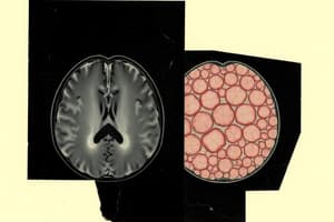 MRI Image Processing Fundamentals