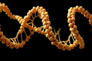 Protein Structure: Primary, Secondary