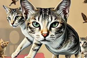 Вікторина: Цікаві факти про котів