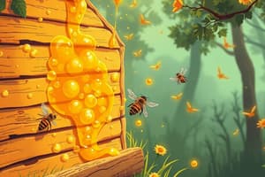Introduction to Honey and Beehive Subproducts