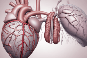 Valvulopatías 5 - Enfermedades Valvulares Cardiacas: IM Crónica Secundaria