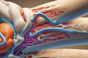 Literature Review: Lower Extremity Pain from Lumbar Spine