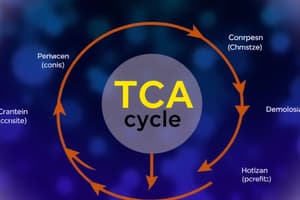 Biochemistry TCA Cycle Quiz