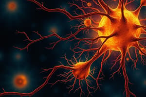 Neuroglial Cells Overview