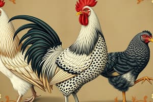 Taxonomic Classification of Poultry Species