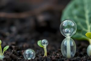 Plant Life Cycles and Germination