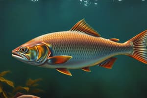 Fisheries Science Concepts Quiz