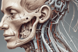 Nose & Paranasal Sinuses Anatomy