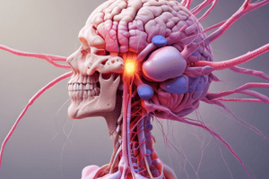 Mechanism of Action of Morphine and Opioid Receptors