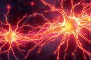 Nervous System and Neurons