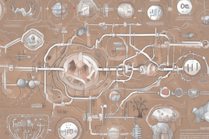 Amino Acid Metabolism and Urea Cycle