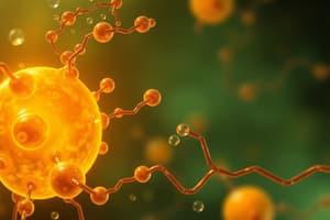 Lipids: Phospholipid & Sphingolipid Metabolism