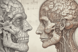 Neurophysiology: Vision- Pt 1