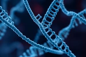 Dephosphorylation & DNA Ligases