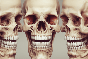 Dentine Structure and Function