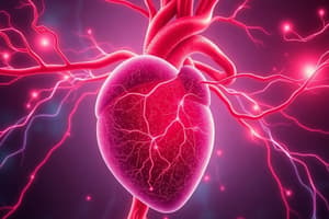 3-2 Arterial Circulation