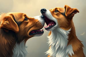 Understanding Dog Barking