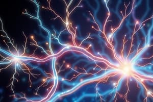 Efferent Pathways in Nervous System