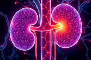 Hill Ch 29 + online: Kidney Function and Nephron Filtration