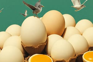 Eggs and Egg Products Technology: An Introduction