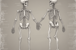 Skeletal System Introduction - NSCI5720 Vertebrate Anatomy