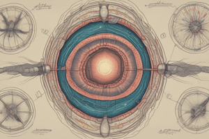 Ancylostoma duodenale: Characteristics and Habitat