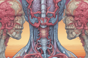 Thyroid Gland Introduction