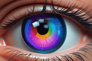 Basics of Optics & Optical Elements Quiz