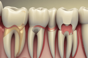 Endodontic Treatment Preparation