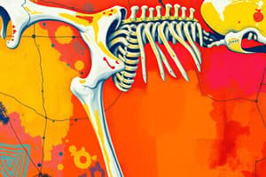 Bone Structure and Function Quiz