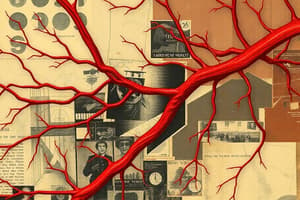 AHE II 2.3 - BLOOD VESSELS III: THORAX AND ABDOMEN