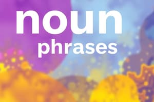 The Noun Phrase