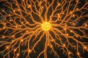 The Human Nervous System Quiz