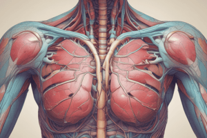 Thoracic Outlet Syndrome Anatomy