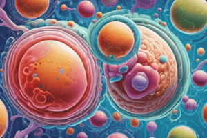 Outer Membrane Vesicles in Bacteria