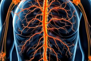 Autonomic Nervous System Overview